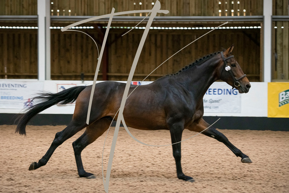 Futurity British Breeding 2022 - Richmond Equestrian Centre-9