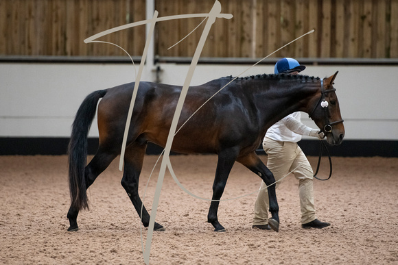 Futurity British Breeding 2022 - Richmond Equestrian Centre-5